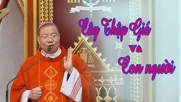 Cây Thập Giá và con người - Đức TGM Giuse Vũ Văn Thiên