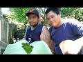 EPS#14 How to Make coconut bonsai step by step