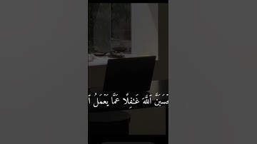 سورة ابراهيم آيه |42|