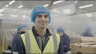 A Day In The Life Of   a vegetable packing factory