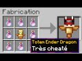 Minecraft mais je peux craft des totems