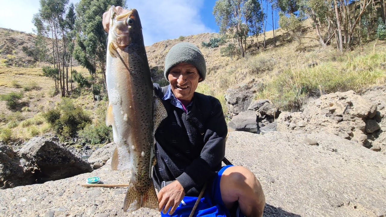 EMOCIONANTE PESCA TRUCHAS GIGANTES.. usando lombriz rojo de carnada.Yauli Huancavelica SUSCRIBETE⬇️