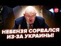 😱Небензя РОЗІРВАЛО! УВІРВАВСЯ із заявою. Видав ТАКЕ про Україну: ШОКУВАВ ООН. Світ на вухах