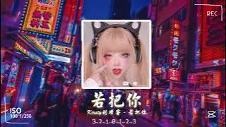 Nếu Ví Anh Như Remix Tik Tok - Kirsty Lưu Cẩn Duệ / 若把你 - Kirsty劉瑾睿 (DJ抖音版 2023)