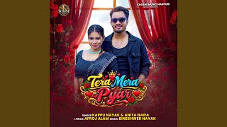 Tera Mera Pyar