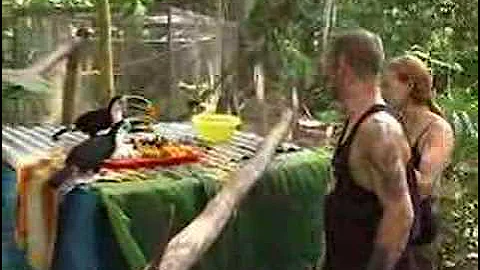 Projects Abroad: Ecovolunteer project in Peru