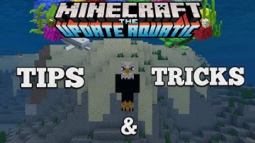🦅 Minecraft Bedrock 1.4.2 Update Aquatic - Tips & Tricks