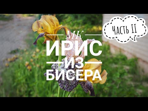 МК Ирис из бисера | Часть II