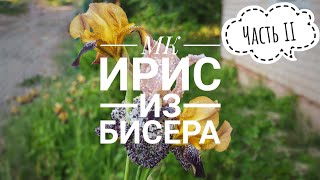 МК Ирис из бисера | Часть II