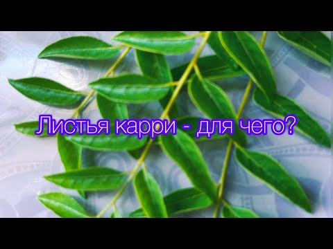 Листья карри (curry leaves) - для чего?