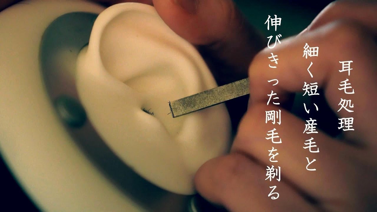 ASMR 📮耳毛ゾリ剃リ細くて短い産毛と稀にくる鼓膜周りの伸びきったボーボー界隈をゾリ剃リ