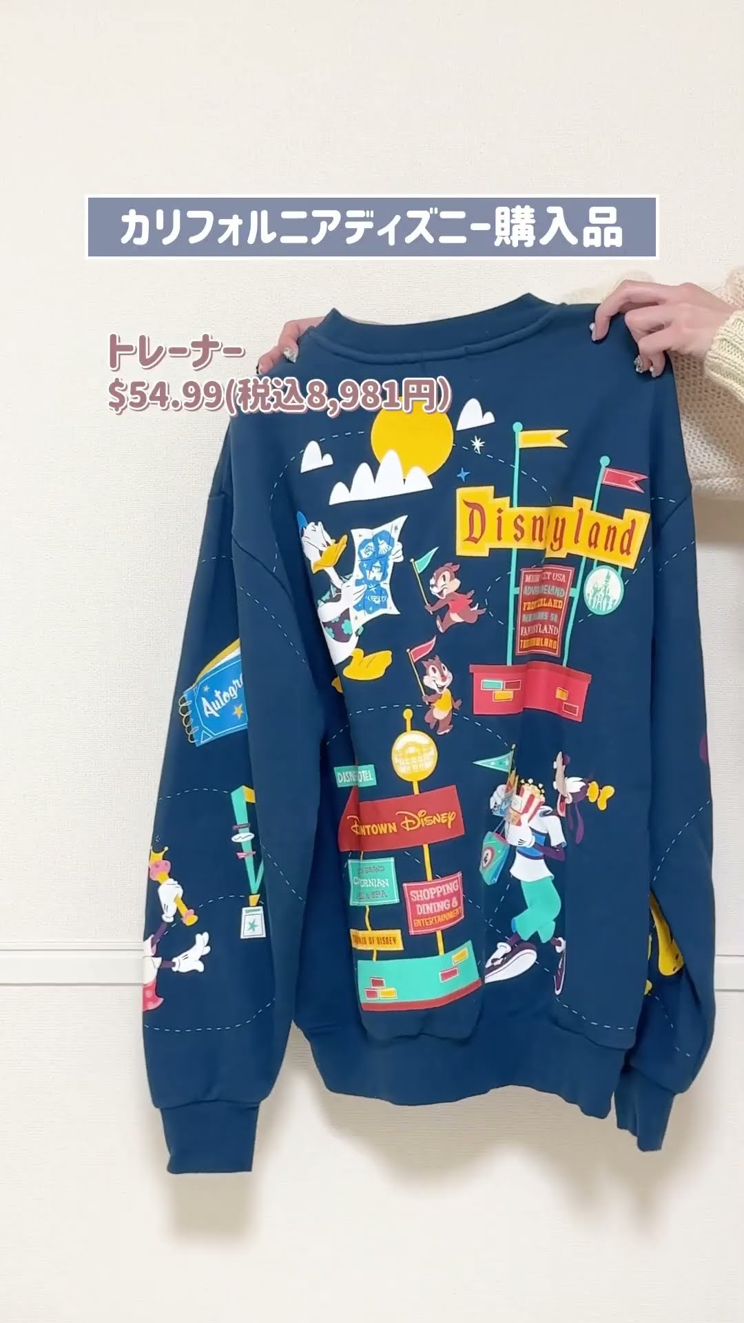カリフォルニアディズニー】購入品①25/2/8-12 | 【世界は遊び場