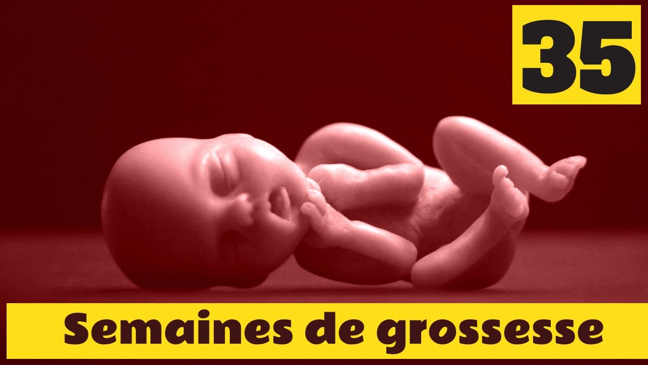 36 Semaines De Grossesse Que Fait Bebe Dans Le Ventre Decouvrez Sans Hesiter Youtube