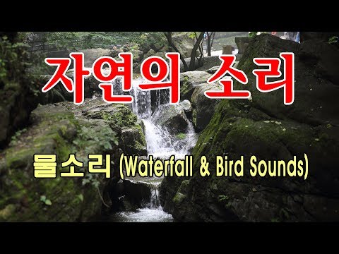 [自然音, 자연의 소리, Nature Sounds, 수면유도, ASMR] 계곡의 물과 새소리, Waterfall & Bird Sounds 국악명상음악