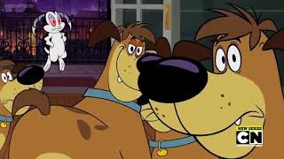 Bunnicula Harold Look At My