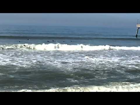 Sharp Park surfing