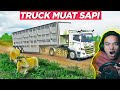 TRUK MUAT SAPI KALIMANTAN BUNYI MOOOWWW - Euro Truck Simulator 2