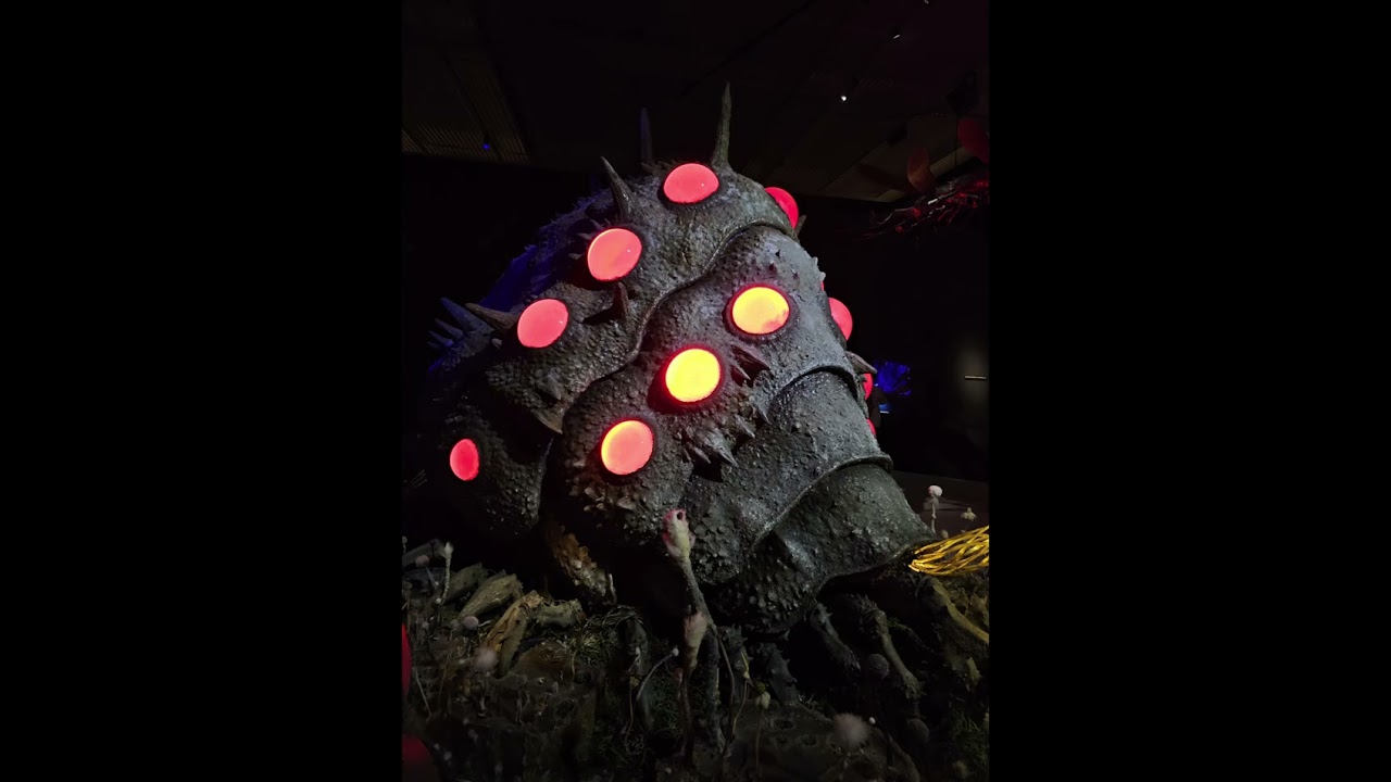 トトロが、ジブリ仲間に会いに行ったよ🎵