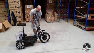 Presentacion Urban Stroller