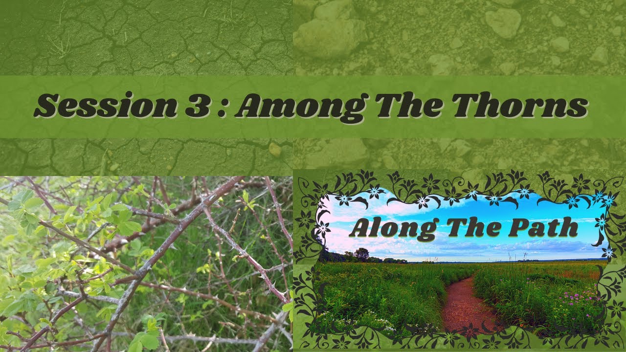 Along The Path - Session 3 : Among The Thorns