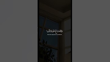 { زُيِّنَ لِلنَّاسِ حُبُّ ٱلشَّهَوَٰتِ مِنَ ٱلنِّسَآءِ وَٱلْبَنِينَ..}#سورة_العمران #عبدالرحمن_مسعد