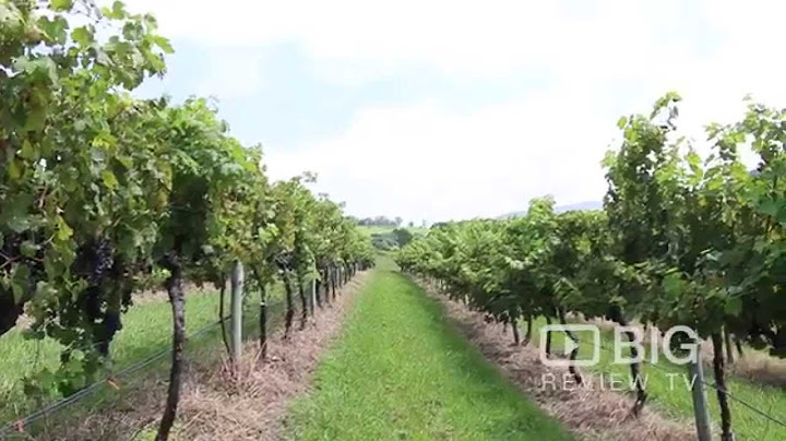 Winery | NSW | Crooked River Wines | 2533 | Big Review TV | Platinum