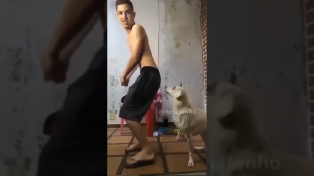 Dog Bite Funny Shorts