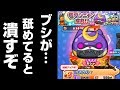 【ぷにぷに攻略】待った！極ブシニャンの確率アップガシャ復刻 極妖怪 ファンレター争奪戦