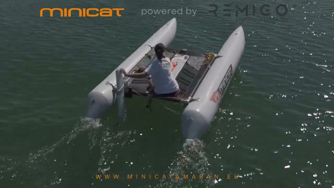 ⁣MiniCat as a tender