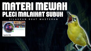 🔴 LIVE Masteran Pleci Mewah Malaikat Subuh Syahid DBI solo 🔴 LIVE Masteran Pleci Mewah Malaikat Subuh Syahid DBI solo