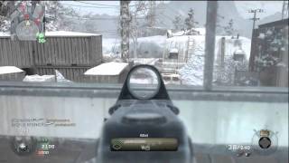 Black Ops: Array TDM 36-3