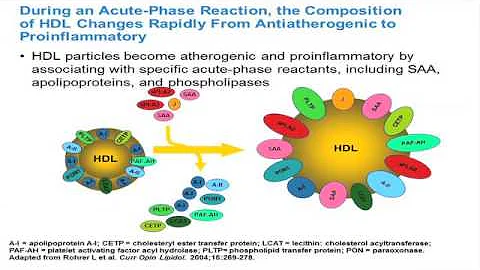 Effect of Interleukin-6 Receptor Blockade on Surrogates of Vascular Risk in RA