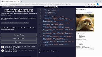 Basic HTML and HTML5  (25/28) | Check Radio Buttons and Checkboxes by Default | freeCodeCamp