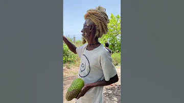 Can You Tell What S In His Hand Music Bobmarley Nature Tv9 Food Fruits Messi Powerful Tv 