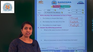AP & TS CLASS II EVS ASSIGNMENT KEY DAY 13