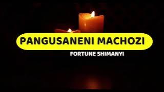 Pangusaneni Machozi | Fortune Shimanyi | Lyrics video