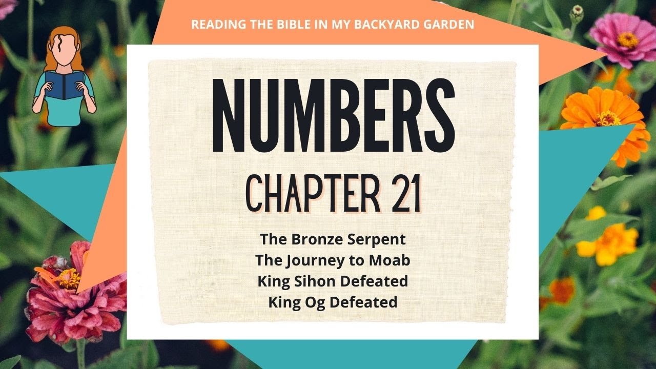 Numbers Chapter 21 | NRSV Bible - Read Aloud
