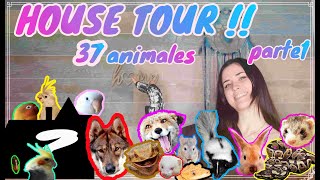 HOUSE TOUR viviendo con 37 ANIMALES - Lo enseñamos TODO -TaliucaPets  (parte1/2)