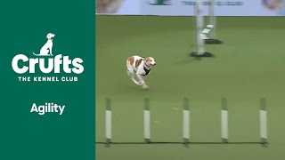 HILARIOUS | Who Needs A Course Structure Anyways?!!! | Crufts 2022