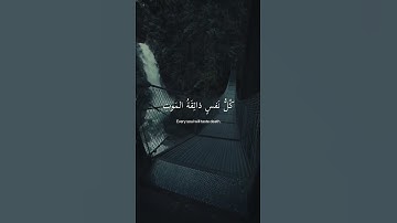 كل نفس ذائقة الموت 💔#القران_الكريم #تلاوةخاشعة #عبدالرحمن_مسعد #quran #اكسبلور