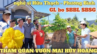 AE nghệ sĩ Hữu Thạch Phương Bình tham quan vườn mai Huy Hoàng BRVT GL SBBL SBSG bo đẹp mập ú giá 30k