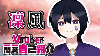 「【自己紹介】沒有!!!!#Vtuber一問一答自己紹介」のサムネイル