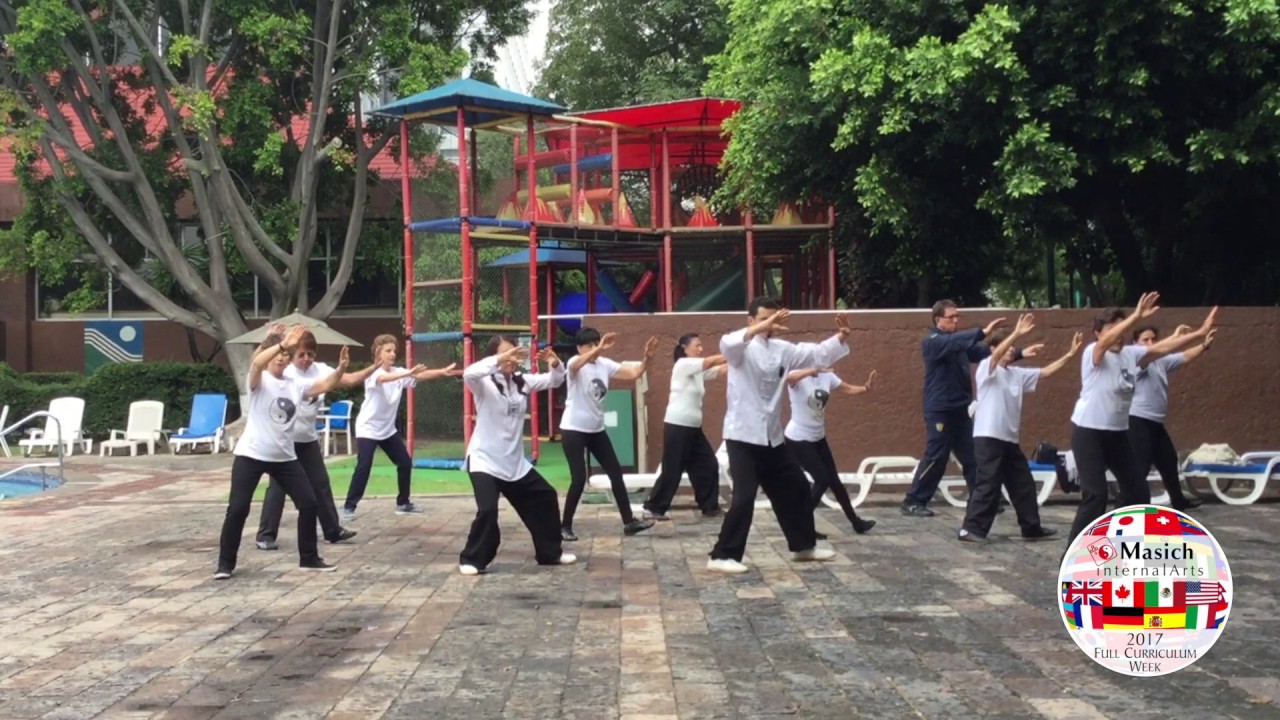 5 Section Taijiquan Solo Bare-hand (Yang-style) by Ricardo Buenaventura