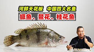 在香港被誉为淡水老鼠斑的鳜鱼鳌花桂花鱼，中国四大名鱼，东方独有瑰宝，河鲜里的天花板