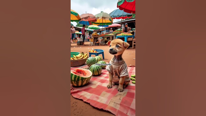 The dog didn't have money to buy fish so he had to do all this work #dog #cartoon #animals #aivideo