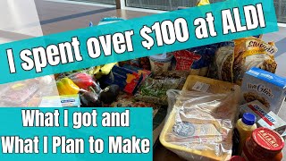 ALDI Haul | Shop With Me | Planning 14 Freezer Meals! by Laura Legge 3,790 views 4 months ago 9 minutes, 33 seconds