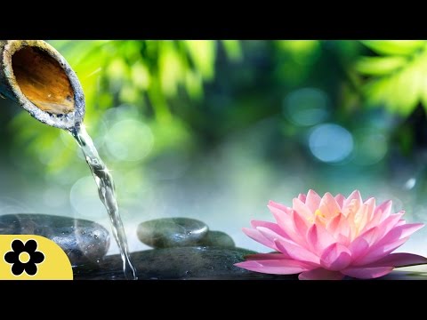 6 Hour Zen Meditation Music: Nature Sounds, Relaxing Music, Soothing Music, Relaxation Music ✿2266C