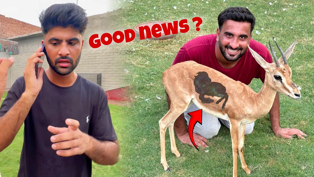 GOOD NEWS😍New Hiran Bacha Deny Wali hai Sabtain Ko Call Agai