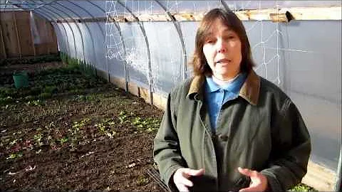 Harvest Moon Produce Testimonial