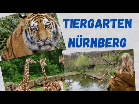 Video: Udhëzues për Tiergarten të Berlinit